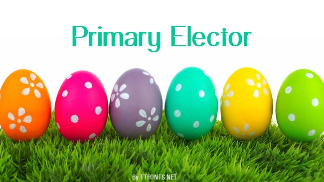 Primary Elector example